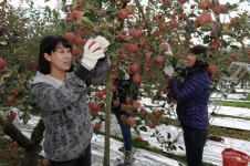 감사원, 음성읍 용산3리서 농촌봉사활동