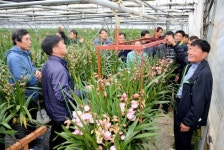 태안군, 양란 농가 노동력 감소 및 직업병 예방 총력