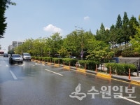 수원시, 빗물 재활용해 폭염 · 미세먼지 줄인다