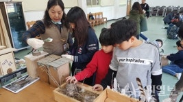 수원 효성초, 꿈꾸는 공작소...뚝딱뚝딱 새집 만들기