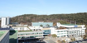 도내 시.군 전역, 18일~22일 야생멧돼지 집중포획 실시