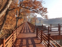 수원 광교호수공원 신대호수 산책로 완전 연결