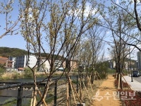 용인시, 마평동 양지천 일대 주민 휴식공간 조성