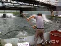 경기도 안전 먹거리 명품수산물(G+Fish) 공개
