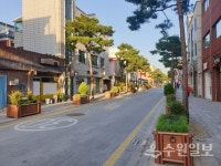 팔달구 행궁동, 거리 곳곳 겨울꽃 7000본 식재