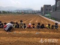 경기도, 화성 동탄·용인 흥덕 등 도민텃밭 조성 경작자 모집