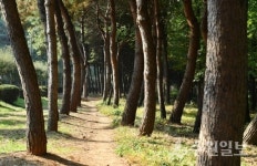 [기획특집] 수원 팔색길 걸으며 코로나블루 극복한다