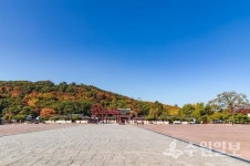 [기획특집] 수원 팔색길 걸으며 코로나블루 극복한다