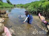 경기도, 9월 1일부터 산업폐수 불법 배출행위 집중 수사