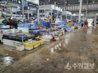 수원 농수산물도매시장 수산물, 안심하고 드세요