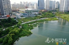 [김충영 수원현미경(43)] 원천유원지에는 이런 사연들이 있다