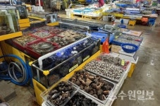 수원시농수산물도매시장 유통 수산물 10종, 중금속 걱정없다