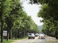 자연과 사람이 함께 어울리는 녹색도시 수원 만든다