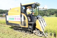 강화군, 풍년 맞이 첫 벼 수확