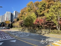 용인시, 신봉동 도서관 건축 설계안 공모...168억 투입