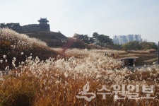 [김우영 광교칼럼] 수원팔색길, 다시 생각할 필요 있다