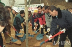 [김우영 광교칼럼] 내가 사랑하는 수원시의 벚꽃명소