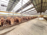 용인시, 농식품부 주관 축산악취개선 공모 선정