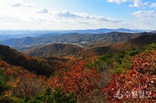 수원 광교산 솔향기숲, 대한민국 100대 명품숲 선정