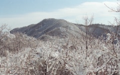 수원 광교산 솔향기숲, 대한민국 100대 명품숲 선정
