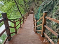 수원 광교산·칠보산 등산로, 더 깔끔해졌다