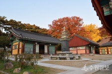 [100만 화성 특집] 효의 고향 화성시 세계 효엑스포 개최하면 좋겠다