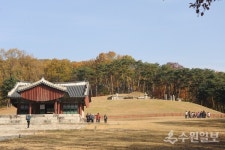 [100만 화성 특집] 효의 고향 화성시 세계 효엑스포 개최하면 좋겠다