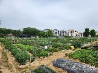 의왕시, 행복가꿈 주말농장 분양...19~22일 신청접수