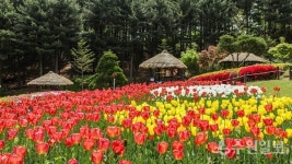 용인 농촌테마파크로 봄 소풍 오세요!