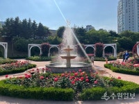 흐드러지게 핀 오산 고인돌공원 꽃잔치 보러 오세요