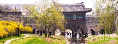 [기획특집] 230년전 정조가 완성한 수원화성... 벚꽃 흐드러지게 핀 성곽길과 행궁