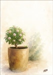 [김준기의 수원 詩, 수원 詩人(106)] 박일만 배려