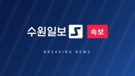 [속보] 노벨평화상에 '전범 책임 추궁' 국제법률가 나비 필레이