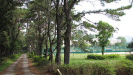 당당해진 대안학교