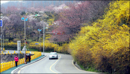 삼학도에서 `목포의 눈물’을 다시 불러본다
