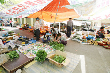 어린 모종들이 한세월을 건너간다 -담양장