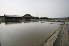 “곰소 둠벙 속 같다”