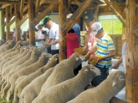 송죽원 장애인들 강원도서 체험학습 실시