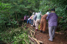 방치됐던 칡오름에 희망이 샘솟는다