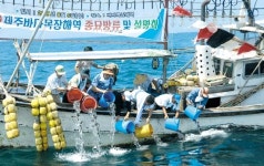 바다목장에 치어 방류