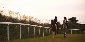 고수목마 테마 여행상품 출시