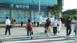 새마을교통봉사대 제주지역대 교통 캠페인