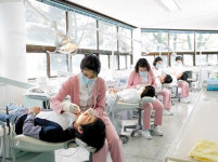 제주관광대학, 치과위생사 52명-치과기공사 17명 합격