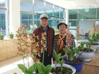 정성껏 키운 새우란으로 공원 만들고 싶어요