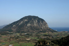 허술한 산방산 통제에 농경지 피해