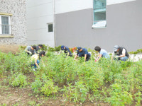 제주은행 서귀포지점 정혜재활원 봉사활동