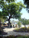 봉개초등학교에 학교 숲 탄생
