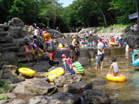 서귀포자연휴양림, 올해만 같아라
