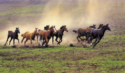 제주사진작가협회 회원전 20~23일 문예회관