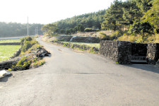 권력 다툼의 미로속에서 탄생한 추사 유배길